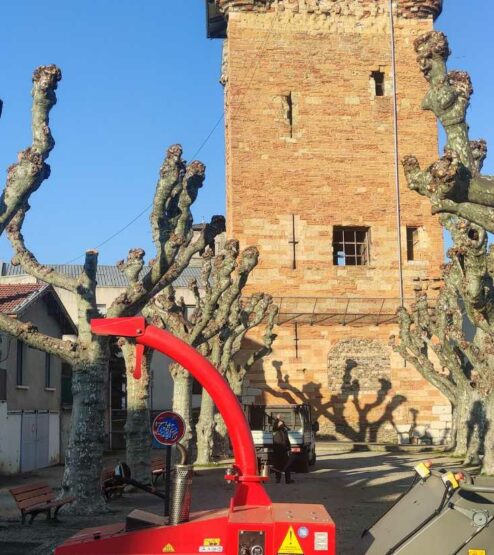 elagueur-commune-arboriste-certifié-sablons-salaise-sur-sanne