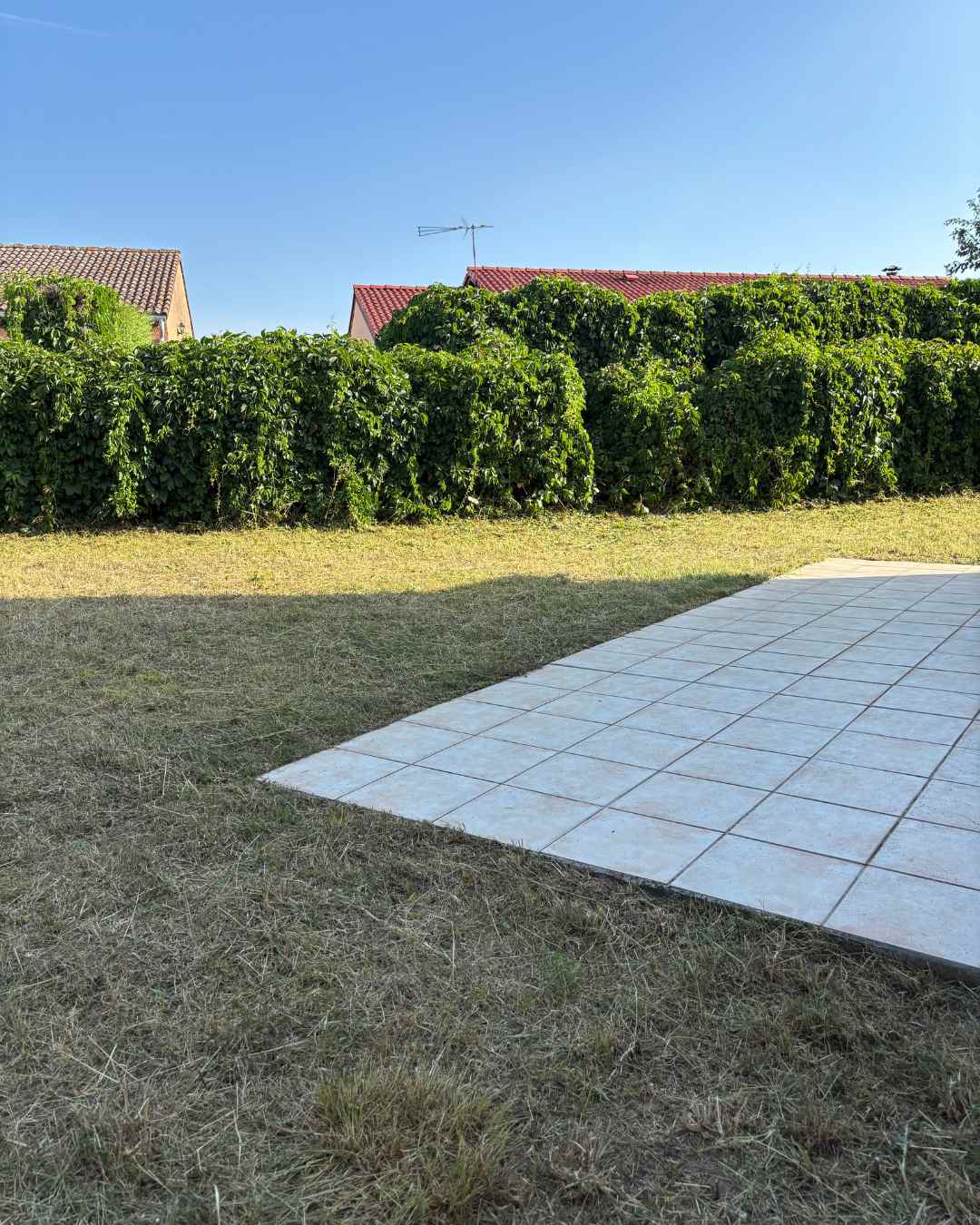 avant après travaux de débroussaillage en isère