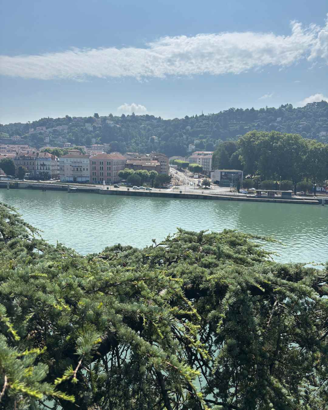 elagueur-rhone-alpes-couper-arbre (13)