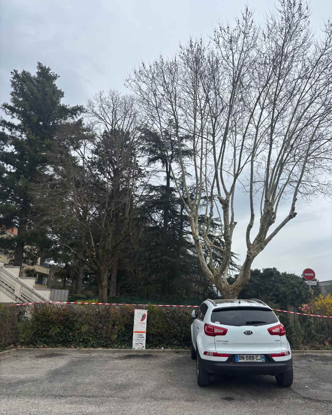 elagueur-rhone-alpes-couper-arbre (14)