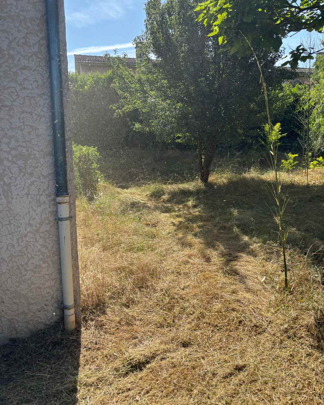elagueur-rhone-alpes-couper-arbre (22)